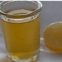 Kombucha Tea Culture with Scoby /Mother