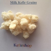 MILK KEFIR 